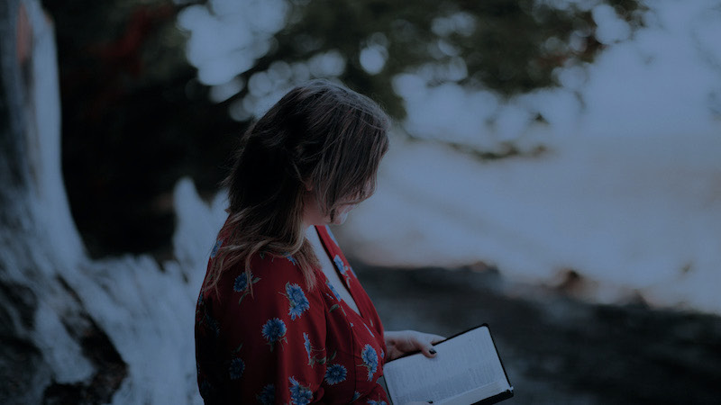 The Christian’s fight: life implanted, battle joined The Christian’s fight: life implanted, battle joined